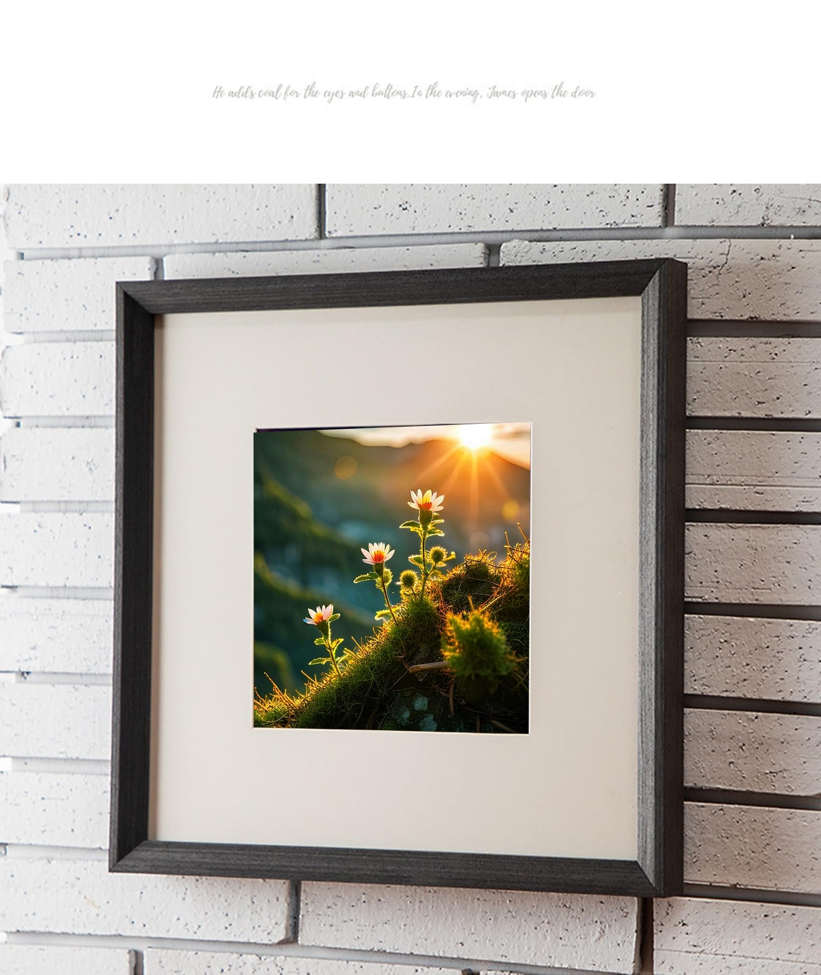 Amazon.com - Whoiy Simple and Stylish Photo Frames 15x15, Solid